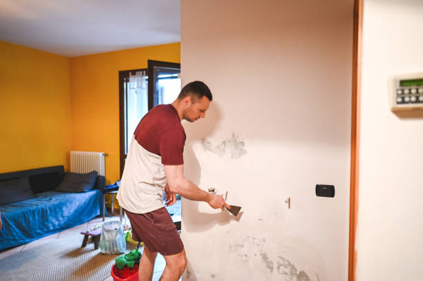 Mold Removal and Inspection in Reeds Spring, MO